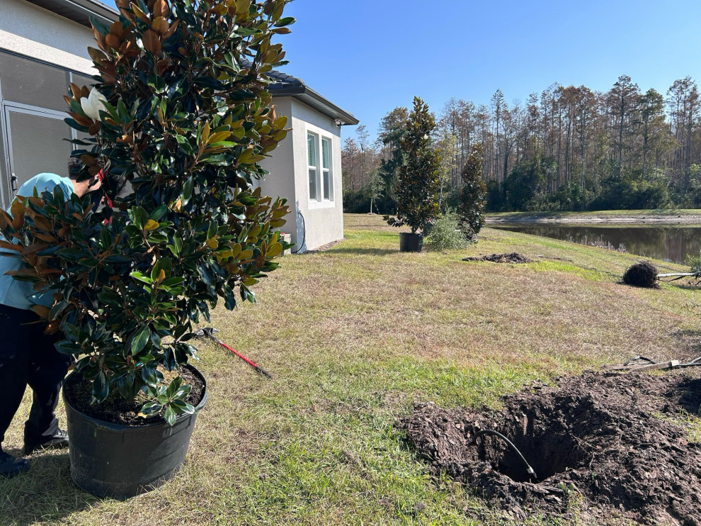 Rooted in Sustainability: Tree Planting with Arborist Partner