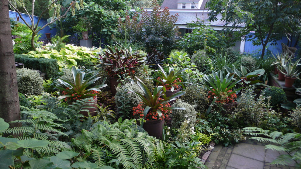 Design ideas for a tropical garden in Seattle.