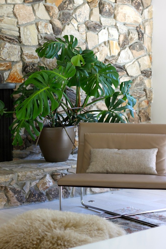 Example of a trendy home design design in San Francisco