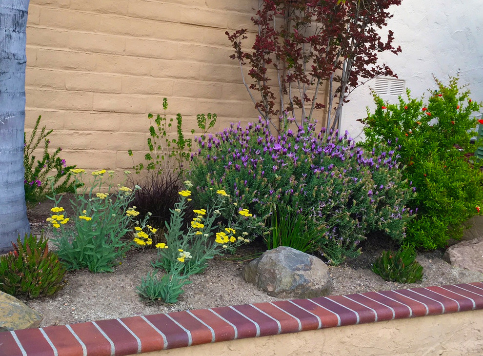 Photo of a traditional front yard xeriscape in Los Angeles.