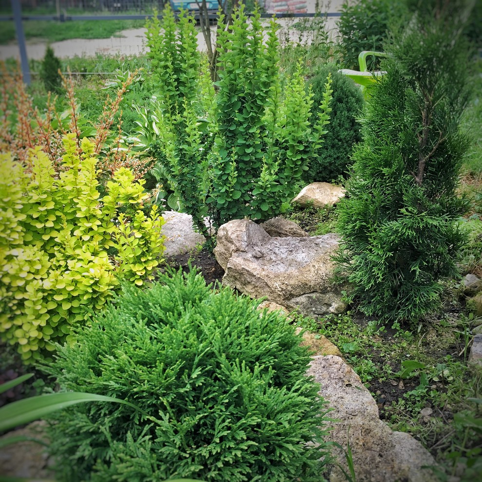 Реставрация старинного сада в калужской области