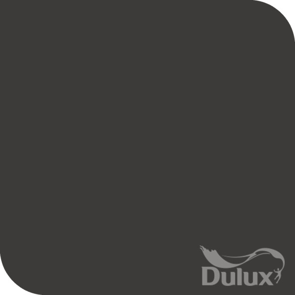 Dulux Rich Black contemporaneo-pintura