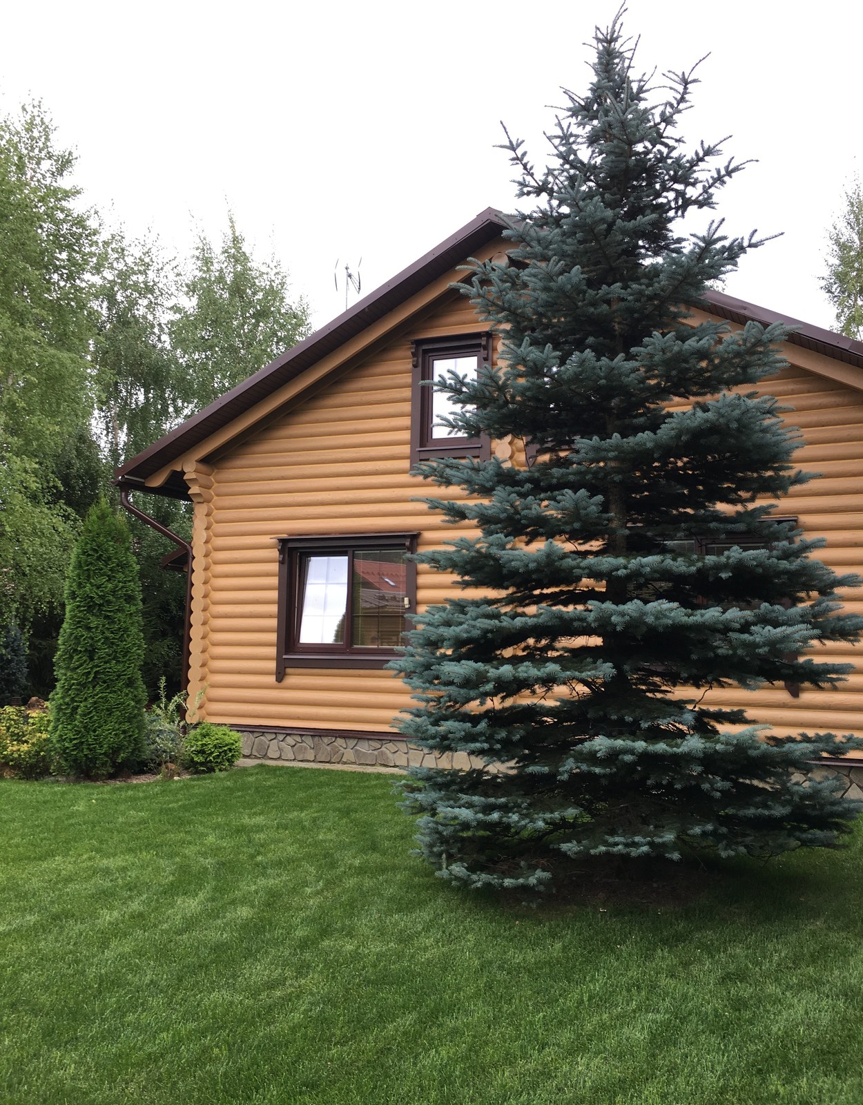 Сад на Новой Риге