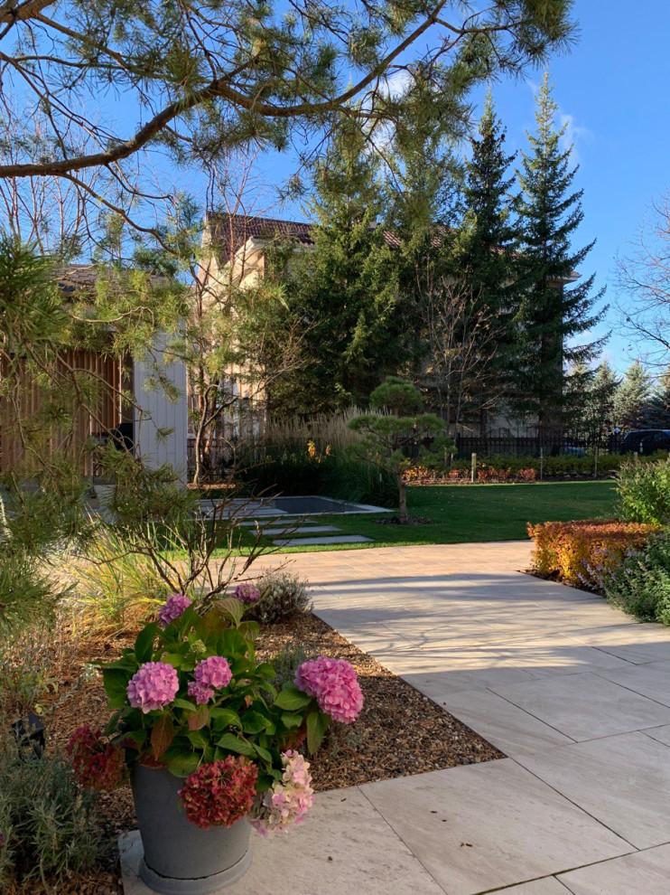 Чистые линии