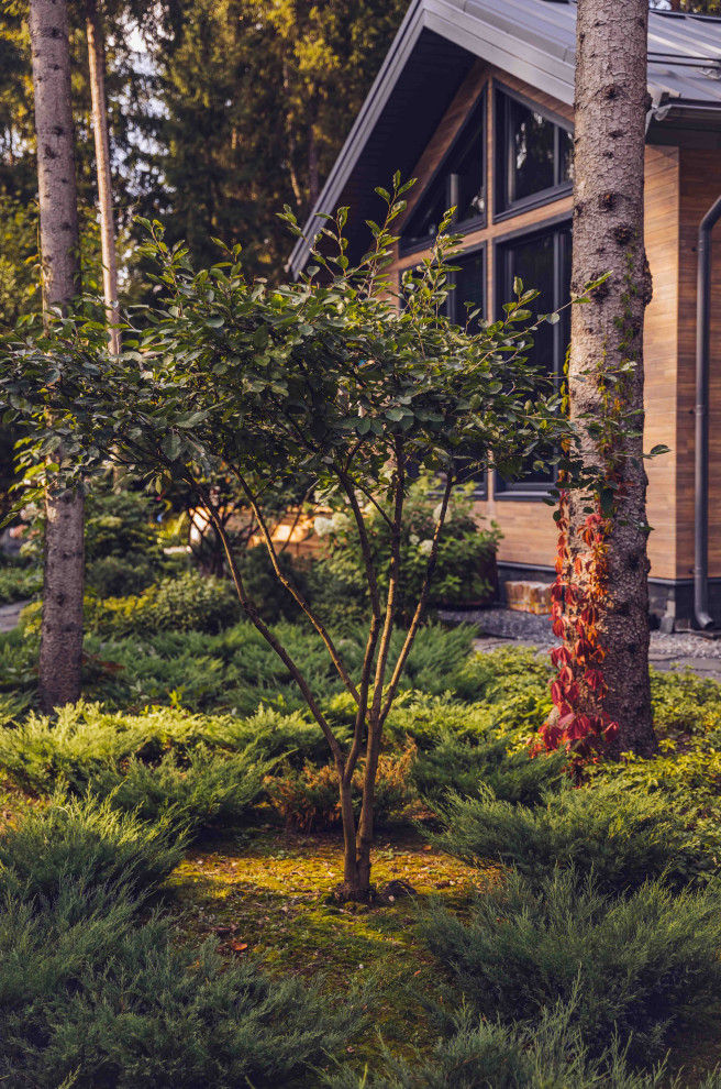 Архитектурное Решение в Пейзажном Стиле