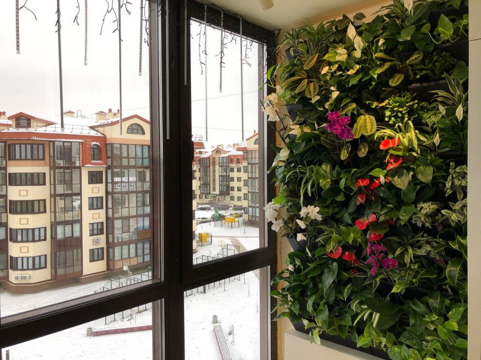 Фитостена в квартире (система полок)