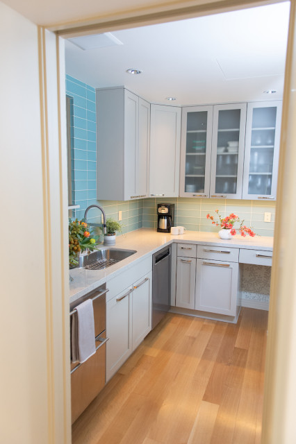Chef's Pantry contemporary-kitchen