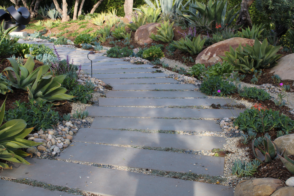 Country front yard garden in Santa Barbara with with path and concrete pavers.