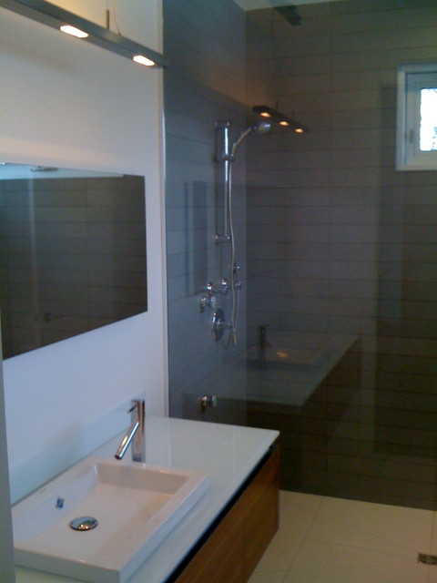 Contemporary curbless shower contemporary-bathroom