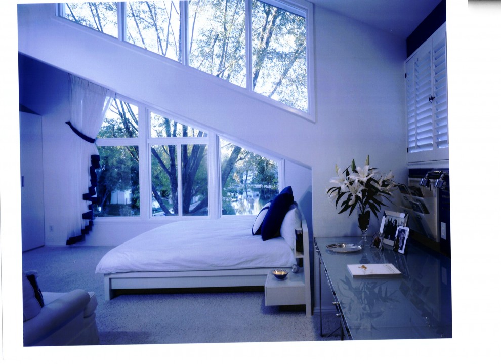 Inspiration for a contemporary bedroom in Los Angeles.