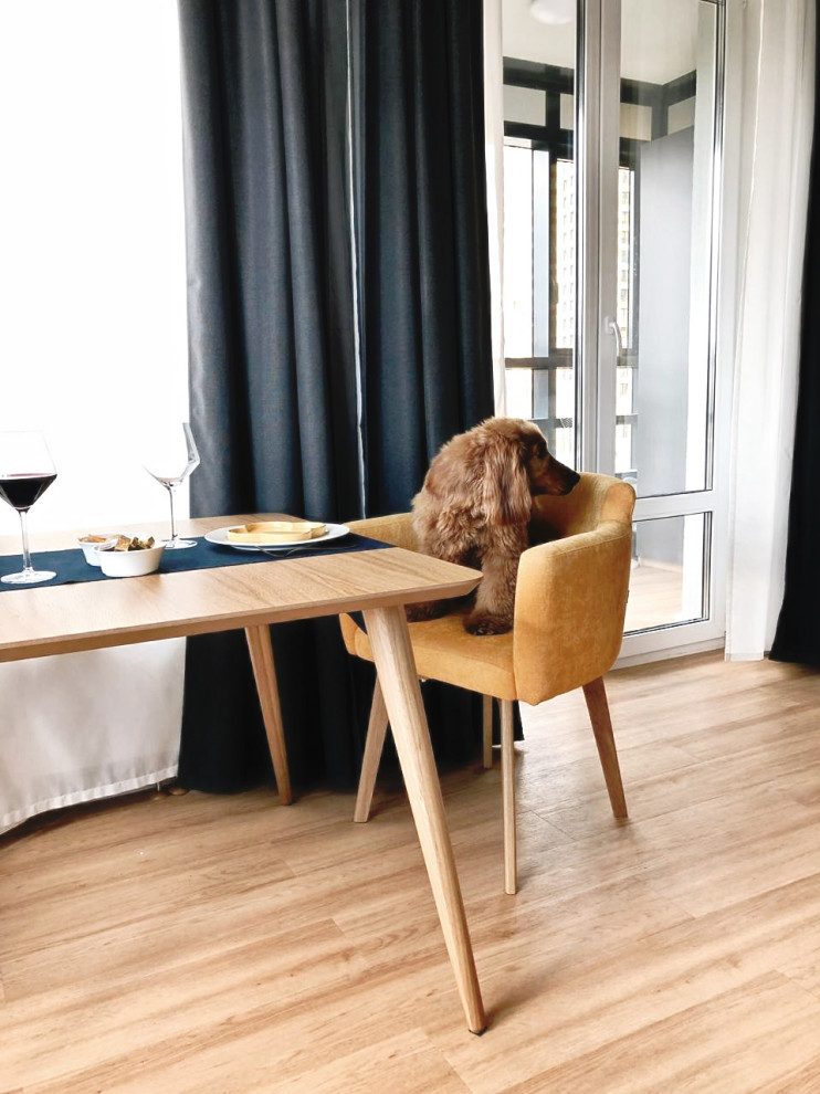 Спаниель Конор