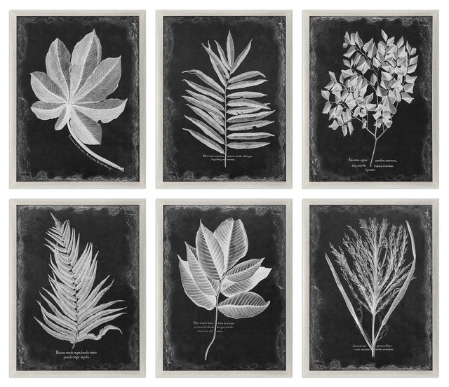 Foliage Framed Prints, Set of 6, by designer Grace Feyock