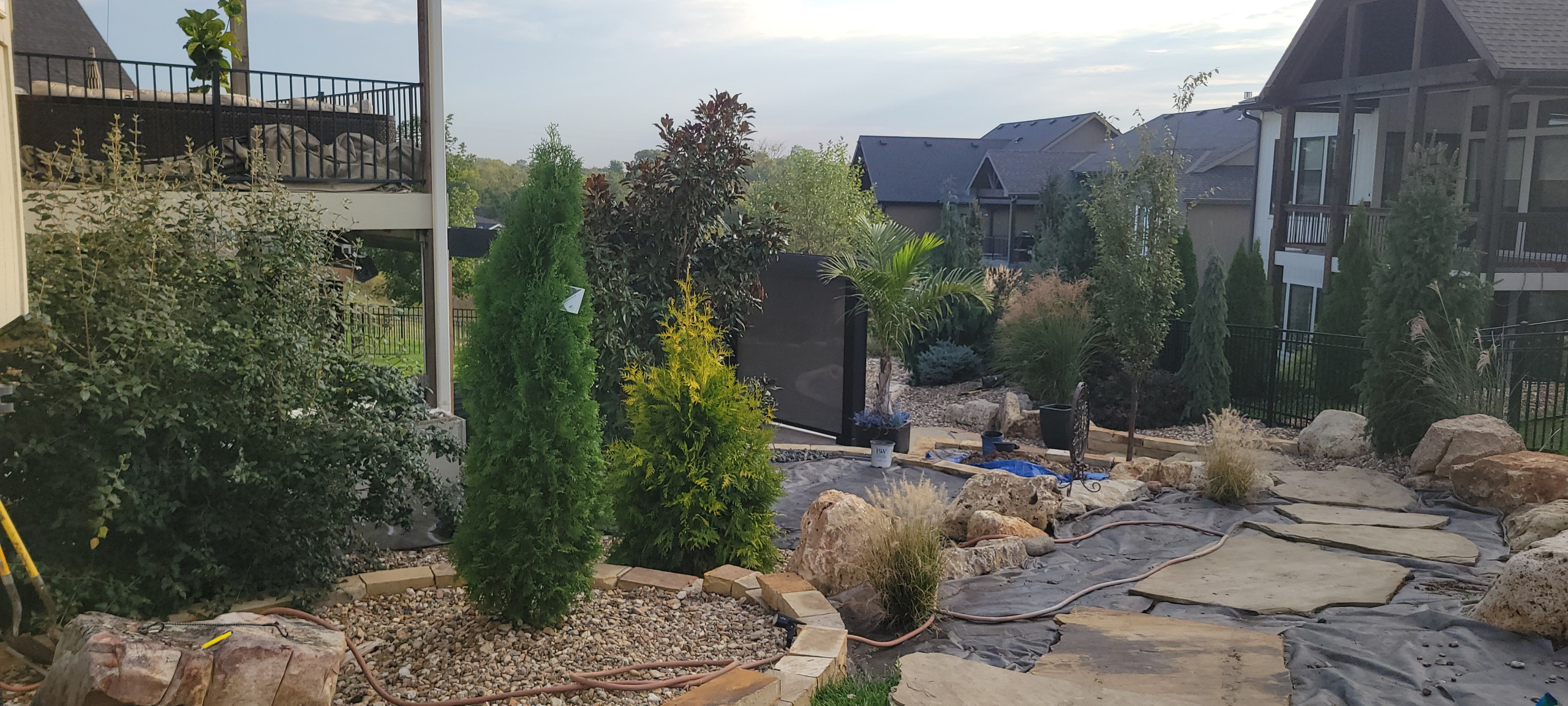 2025 Garden Highlights