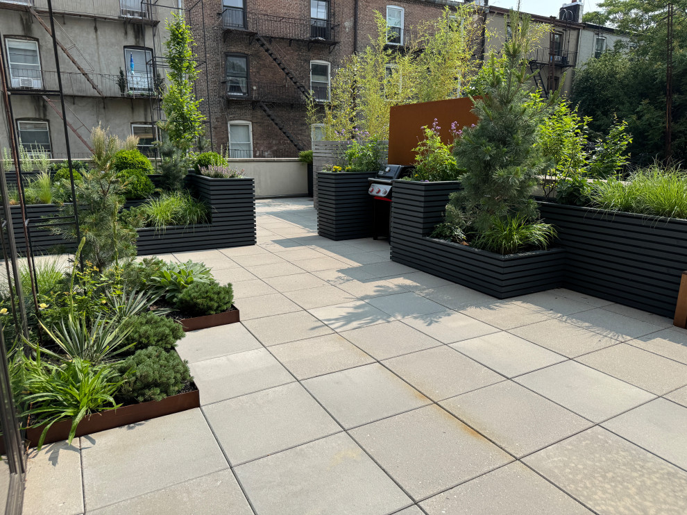 Carroll Gardens Rooftop Terrace