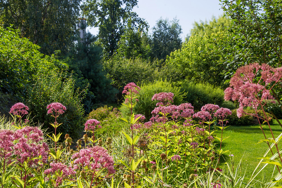 Garden of Elena Astashkina in Moscow Region