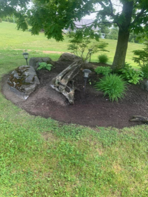 Landscaping