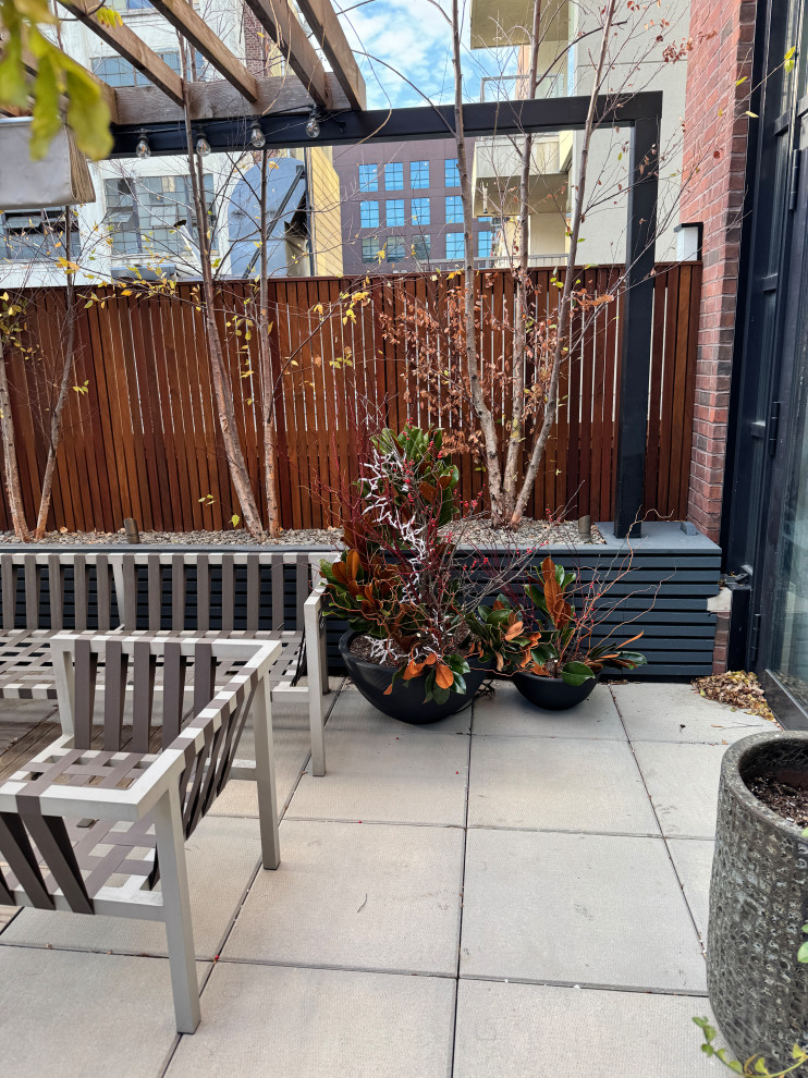 Williamsburg terrace