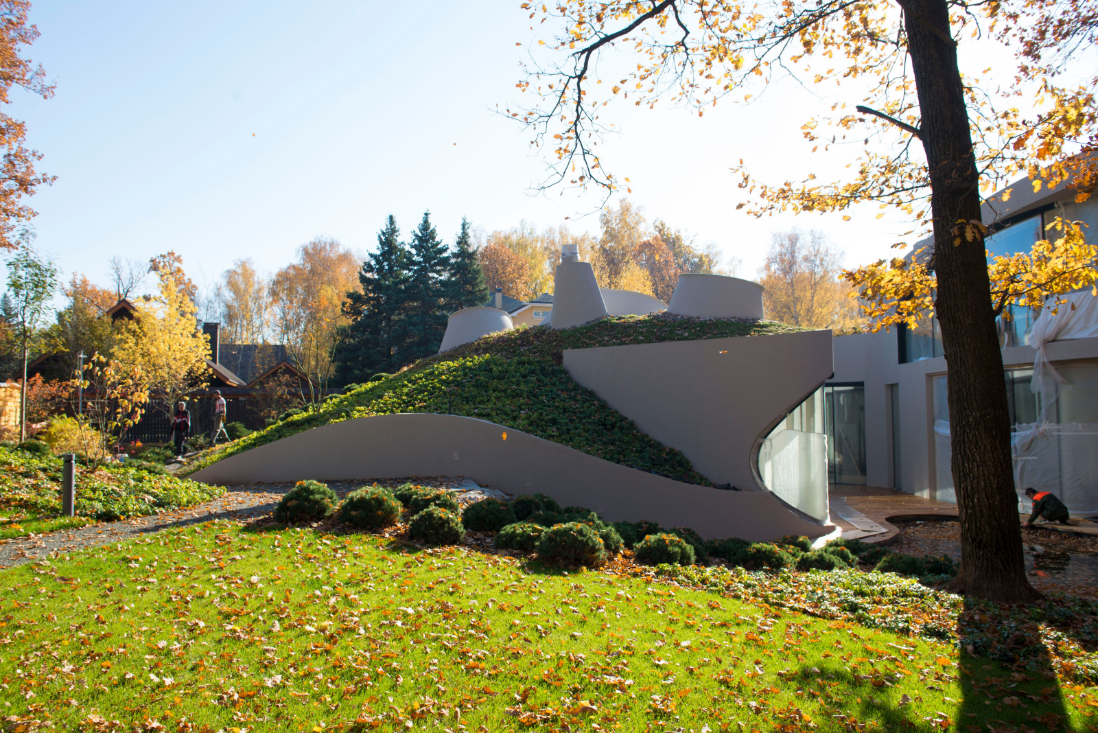 Бионический дом