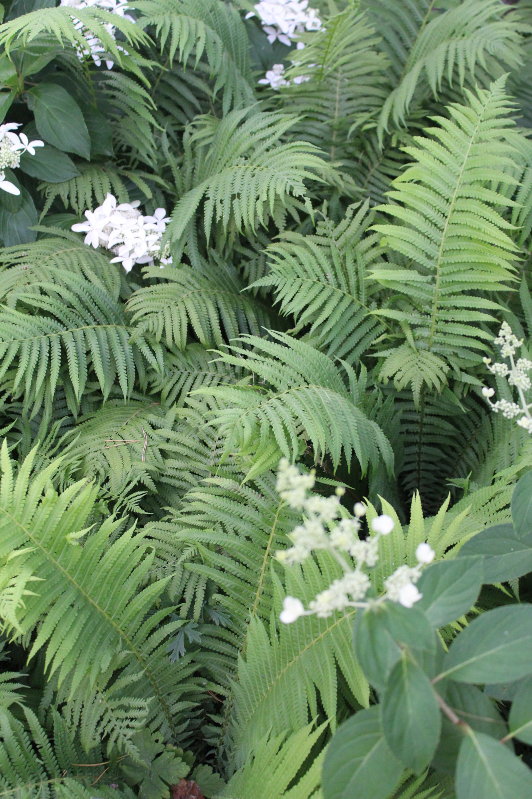 "Нововоронеж"