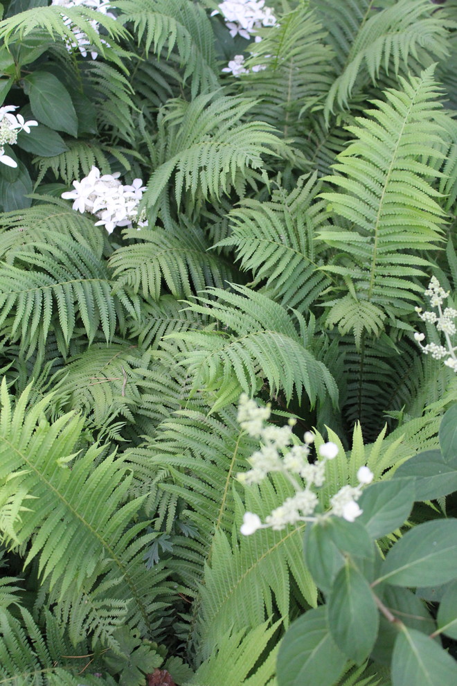 "Нововоронеж"