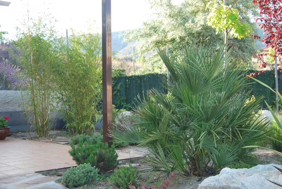Jardines con mascotas