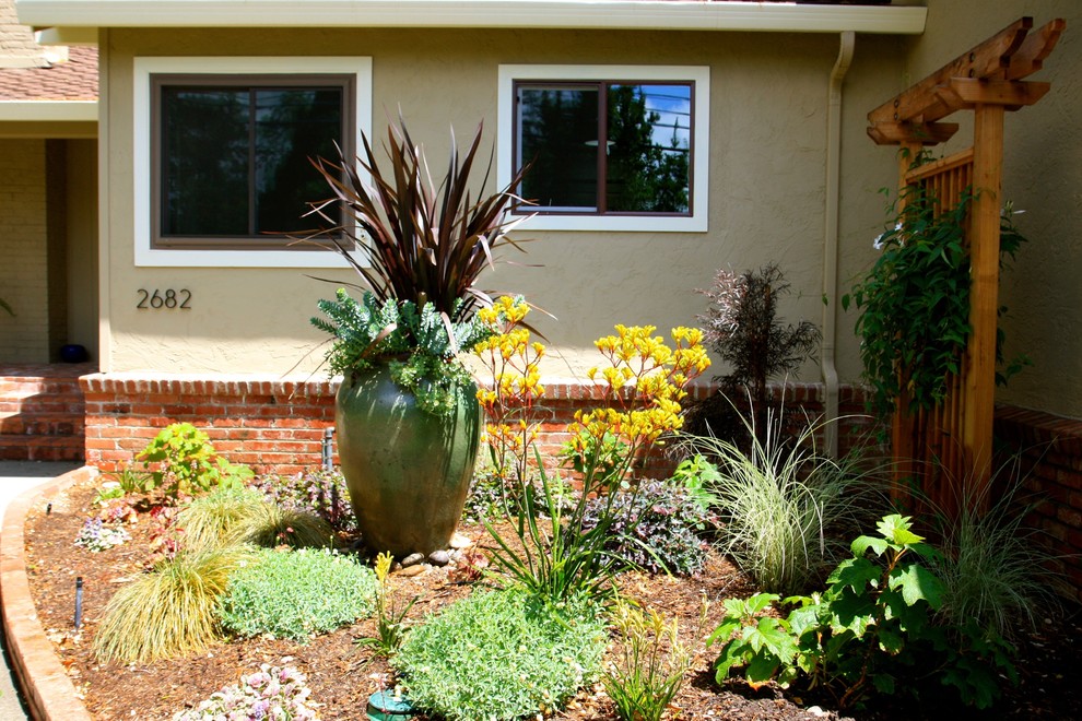 Design ideas for a transitional landscaping in San Francisco.