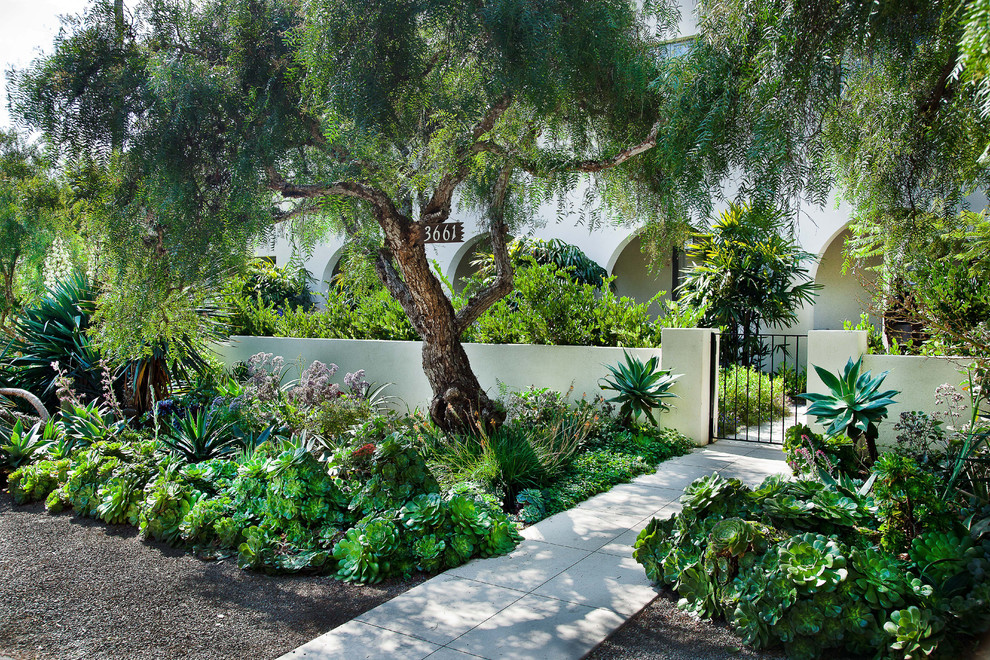 This is an example of a mediterranean courtyard garden in San Diego.