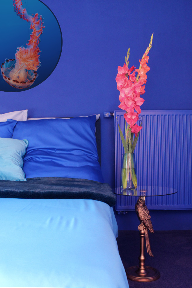 Kleines Modernes Hauptschlafzimmer mit blauer Wandfarbe, Teppichboden und blauem Boden in München