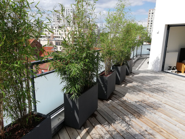 Am&eacute;nagement d'une terrasse modern-deck