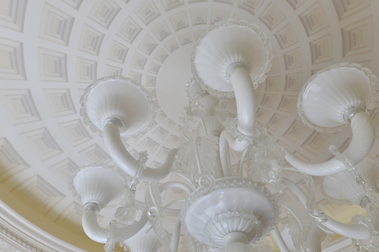 Кухня + визуализация