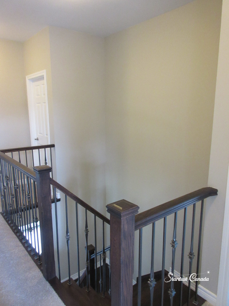 Home design - transitional home design idea in Toronto