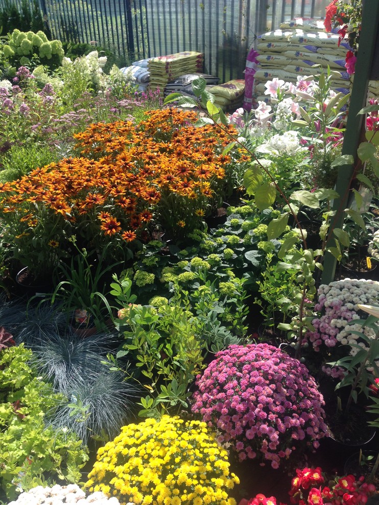 Наша продукция