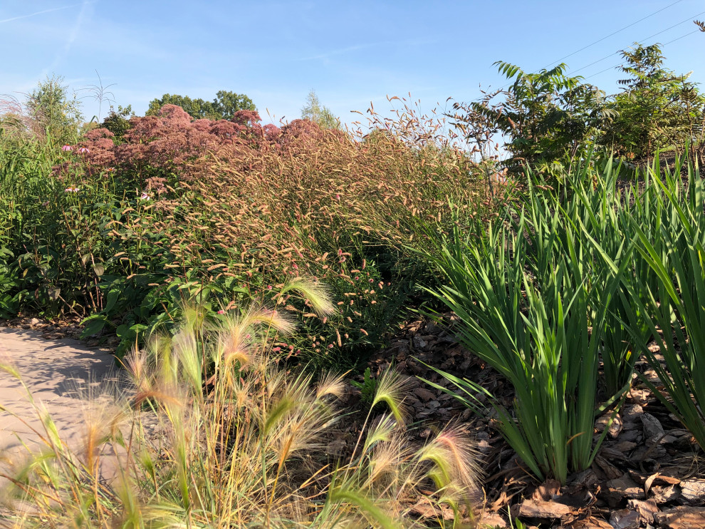 Якшино. Осень 2019