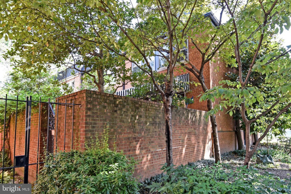 Tree to plant adjacent to patio wall