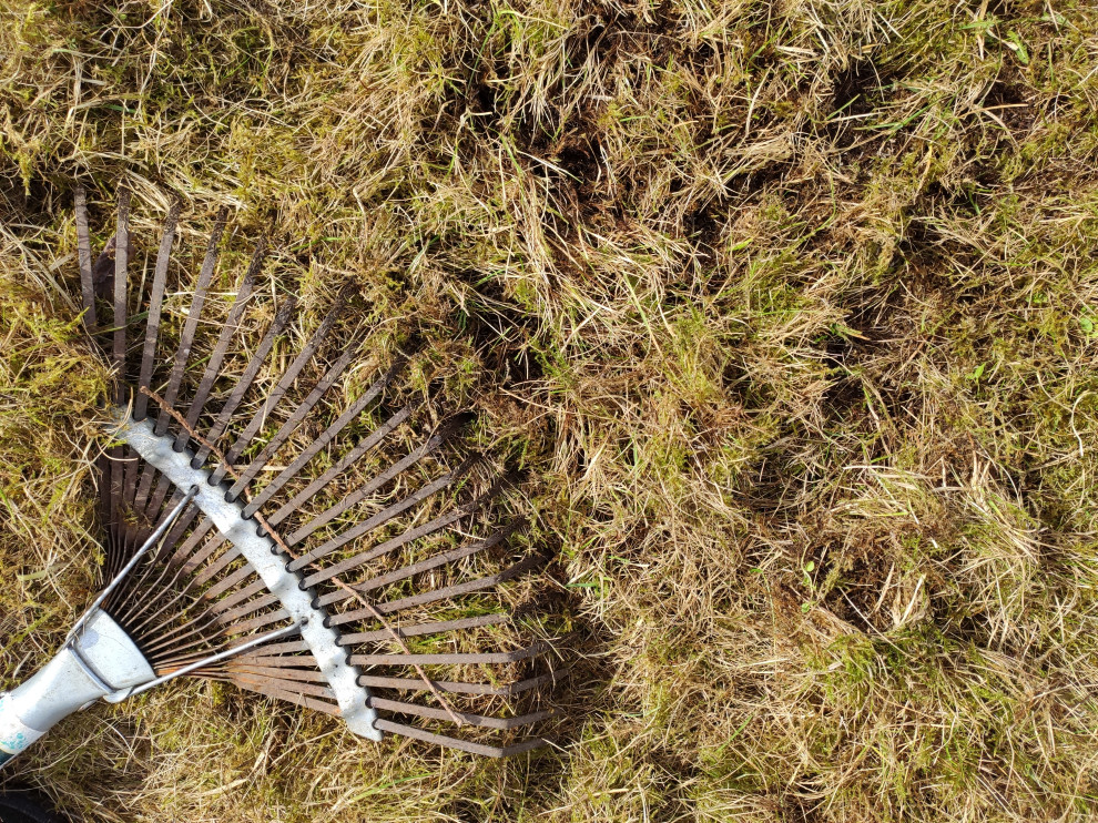 Уход за газоном