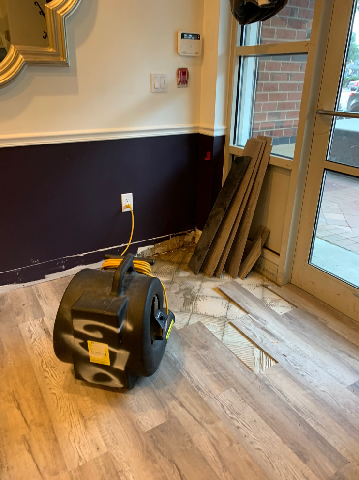 Water Mitigation