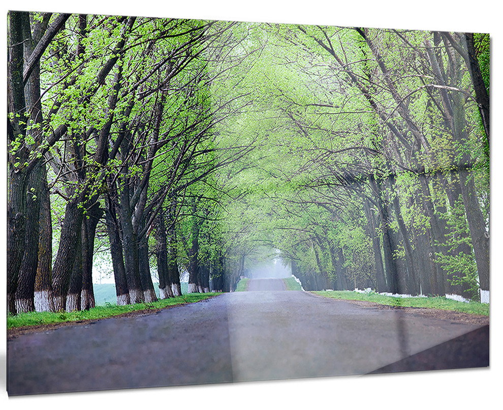 "Arched Trees Over Country Road" Landscape Photo Glossy Metal Wall Art, 28"x12"