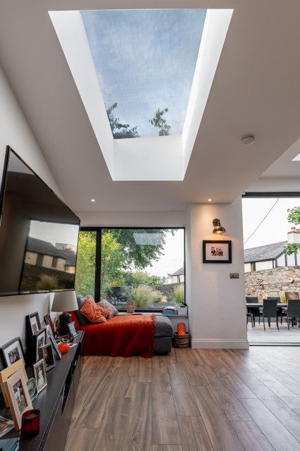 Extension and refurbishment, Monkstown contemporary-vardagsrum