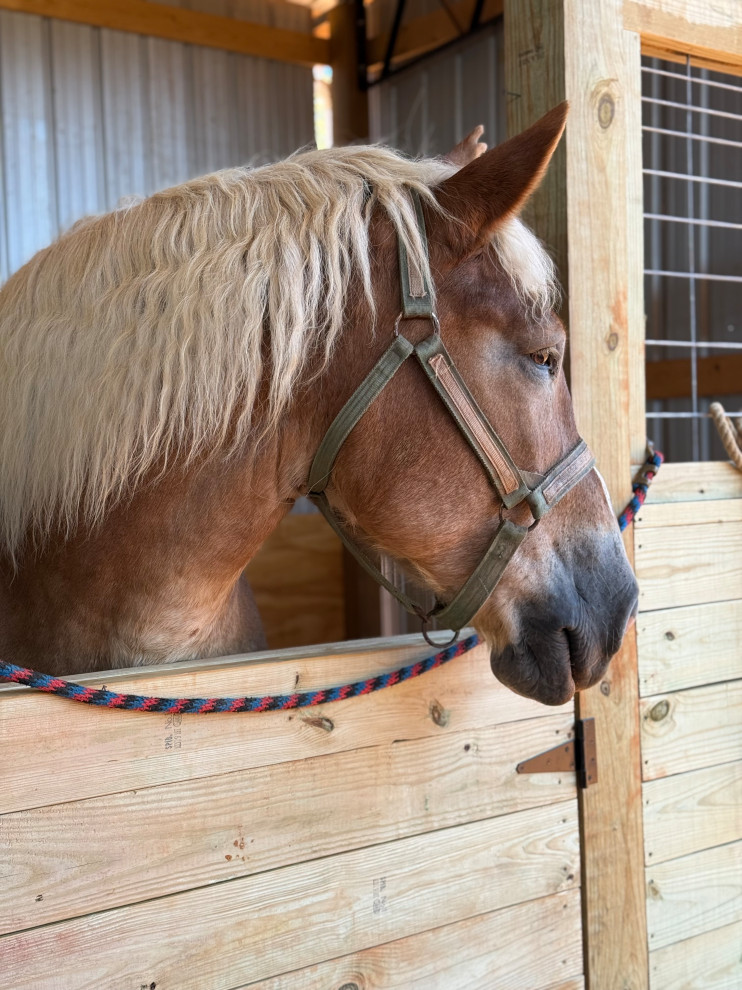 Reece Center Barn Renovation