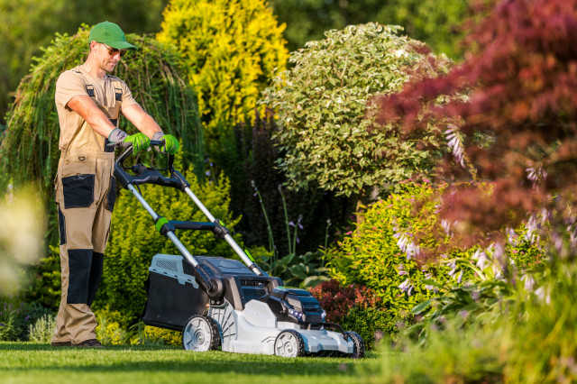 Juan Landscaping jardin