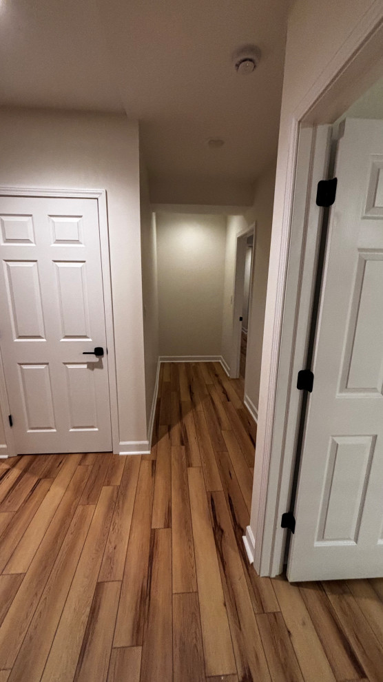 Basement and Bathroom Remodel