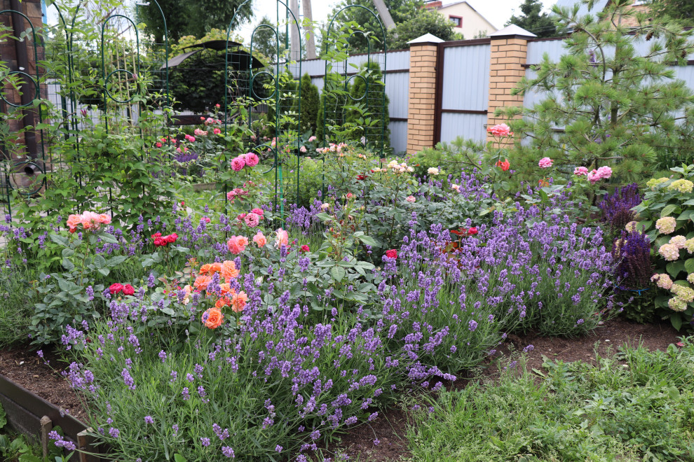 Цветущий сад