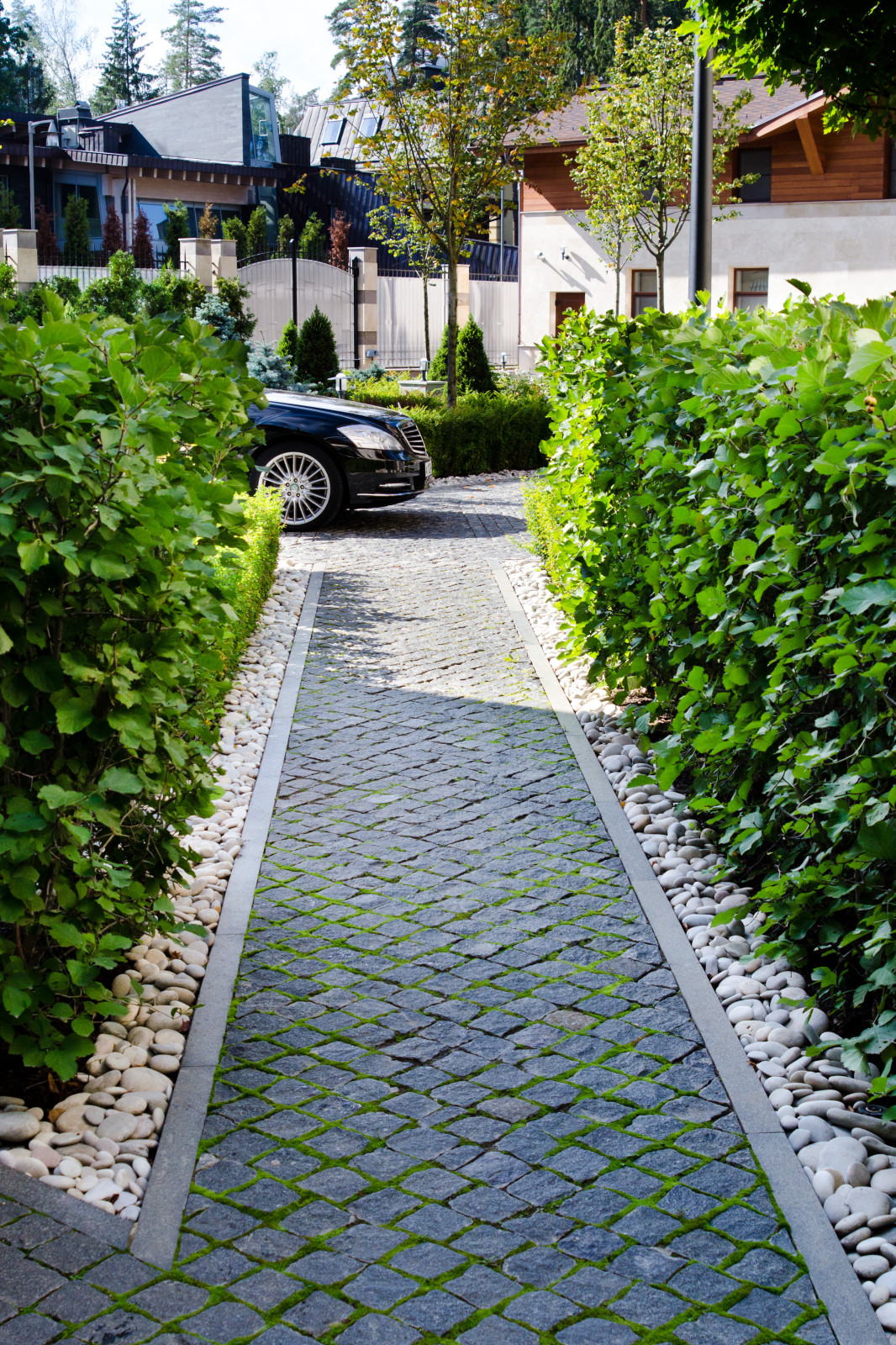 Глянцевый лес