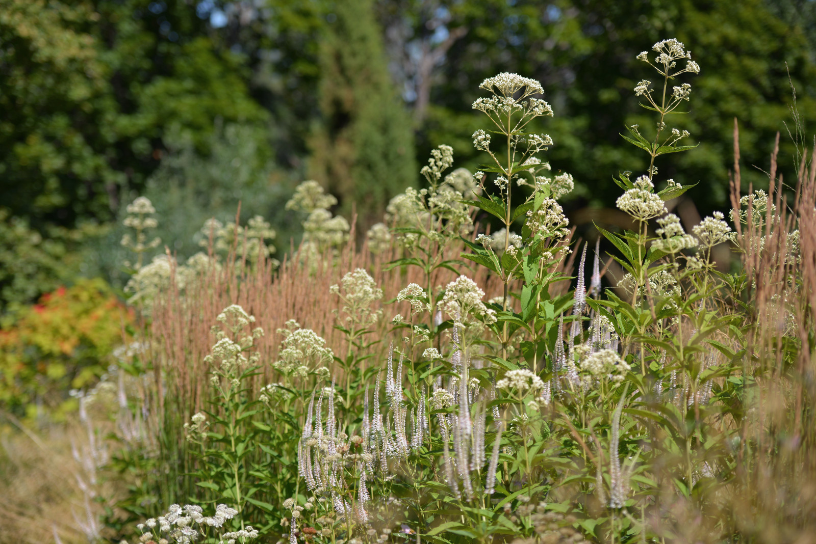 В духе ретро