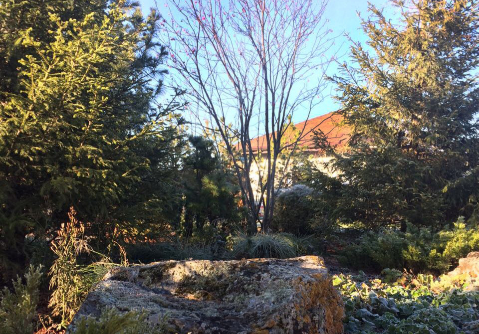 Счастливый сад