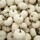 jennifer_pollock4068276