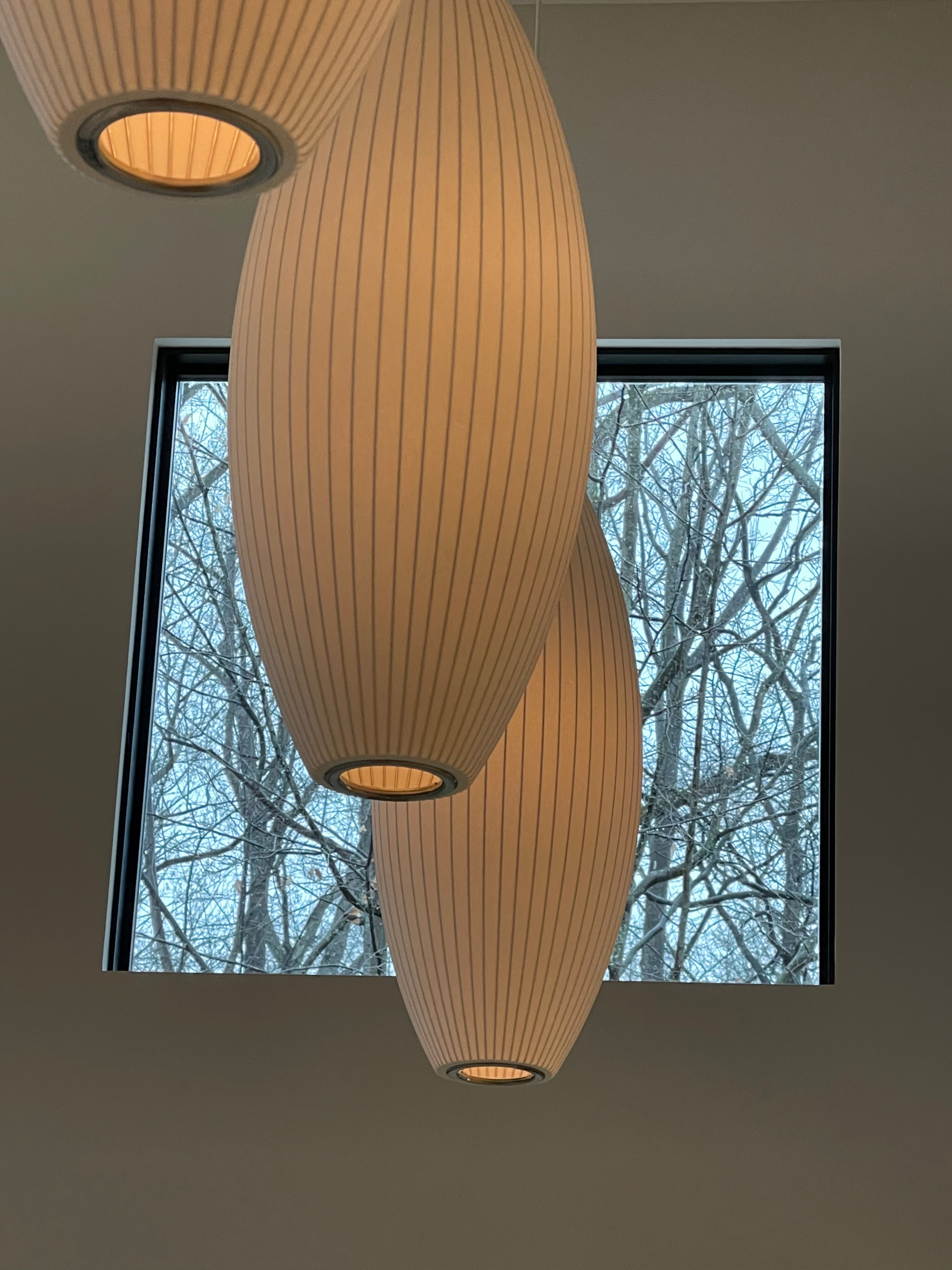 Interior Remodel - NOVA