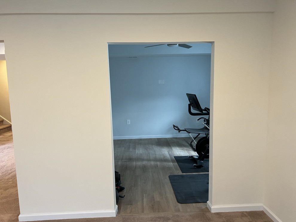 Basement Remodel