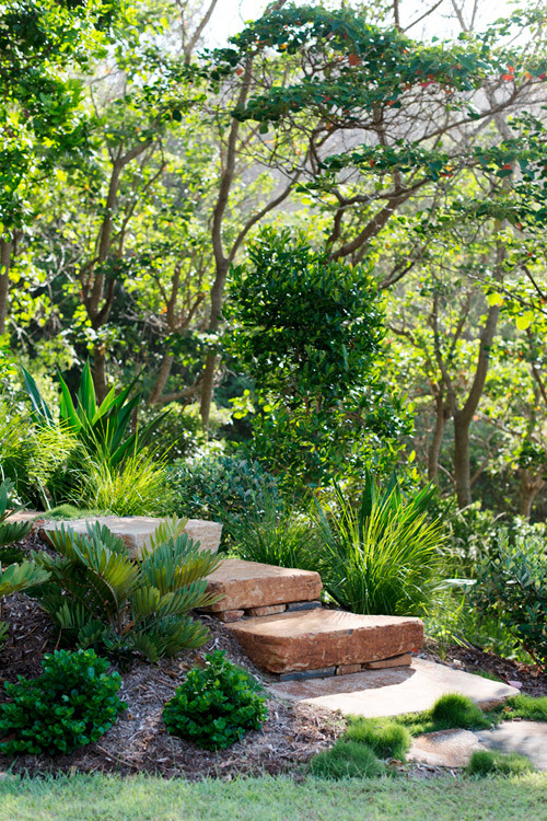 Design ideas for a large contemporary backyard partial sun formal garden in Sydney.