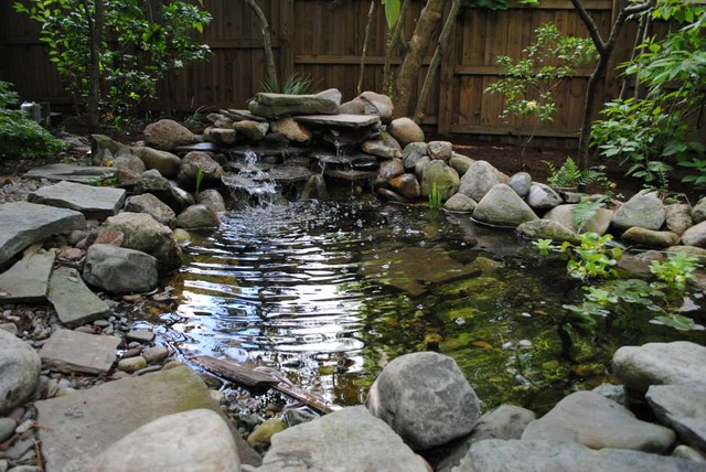 Backyard traditional-garden
